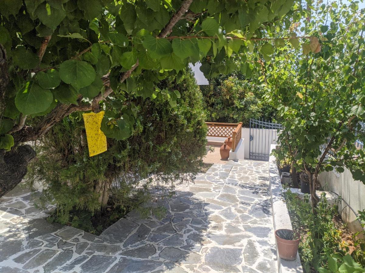 Iliakti Relaxing Seaside Βίλα Σαλαμίνα Εξωτερικό φωτογραφία